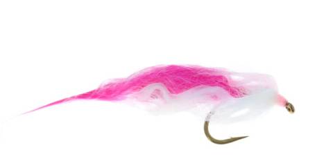 Sea Trout Sushi - Pink